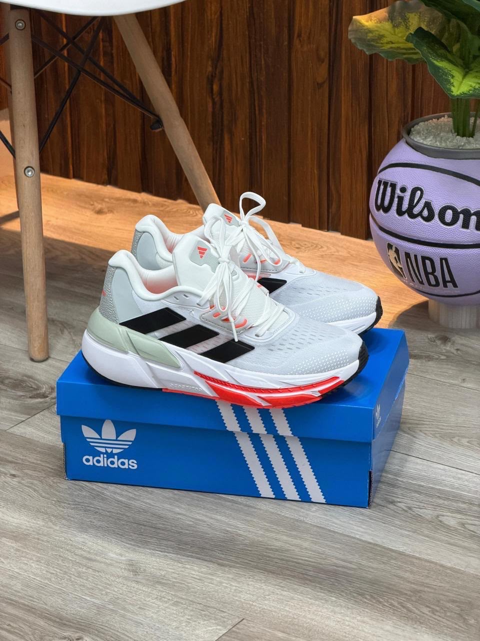 Adidas Questar - Hombre